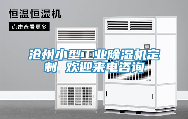 沧州小型工业除湿机定制 欢迎来电咨询