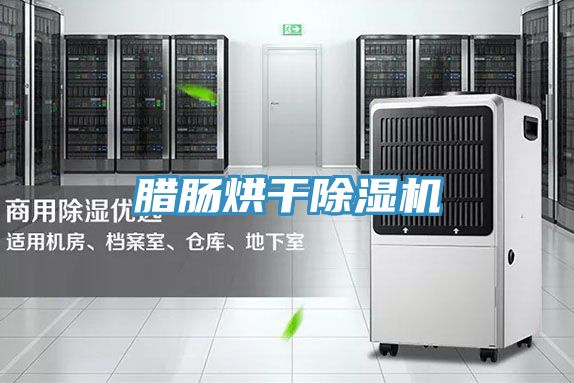 腊肠烘干除湿机