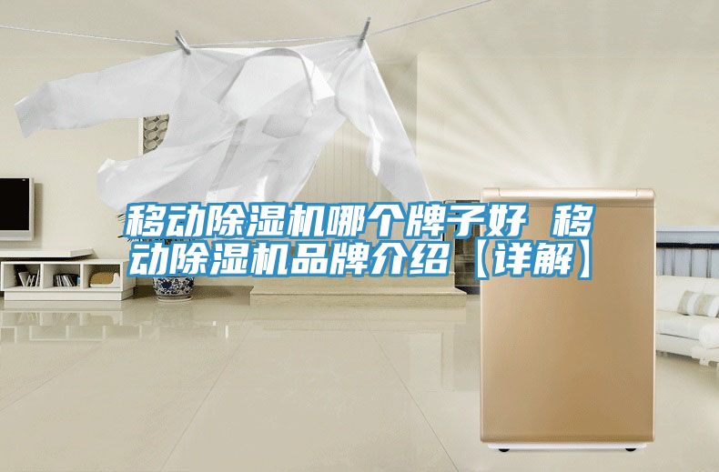 移动除湿机哪个牌子好 移动除湿机品牌介绍【详解】
