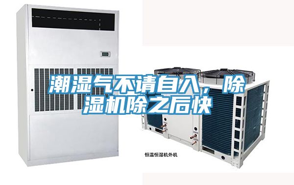 潮湿气不请自入，除湿机除之后快