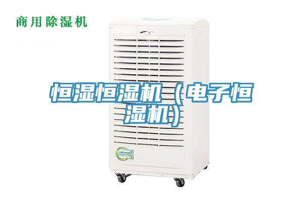 恒湿恒湿机（电子恒湿机）