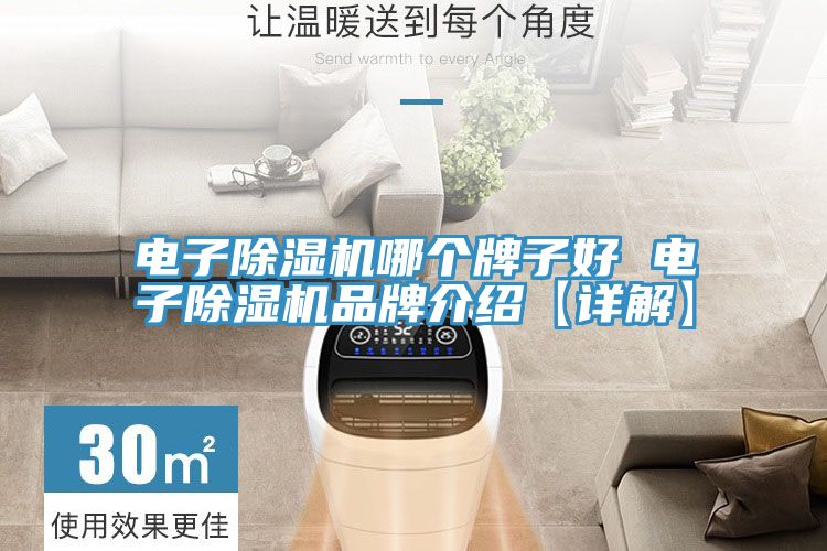 电子除湿机哪个牌子好 电子除湿机品牌介绍【详解】