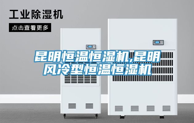 昆明恒温恒湿机,昆明风冷型恒温恒湿机