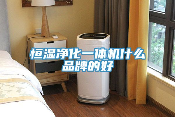 恒湿净化一体机什么品牌的好