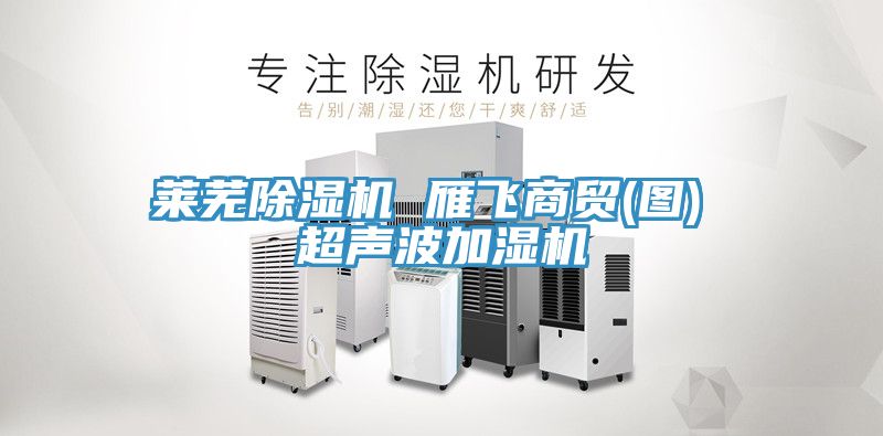 莱芜除湿机 雁飞商贸(图) 超声波加湿机