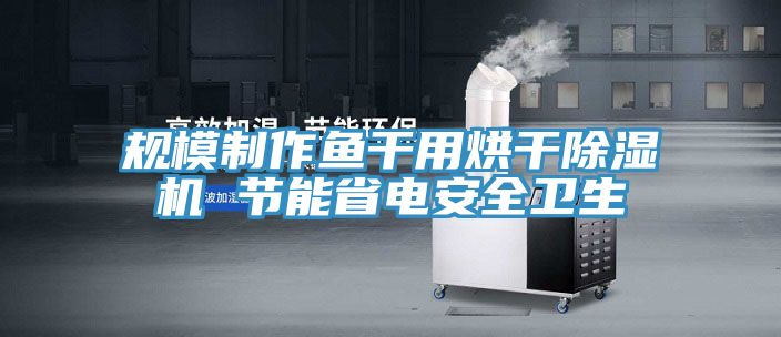 规模制作鱼干用烘干除湿机 节能省电安全卫生