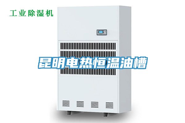昆明电热恒温油槽
