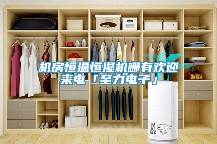 机房恒温恒湿机哪有欢迎来电「至力电子」