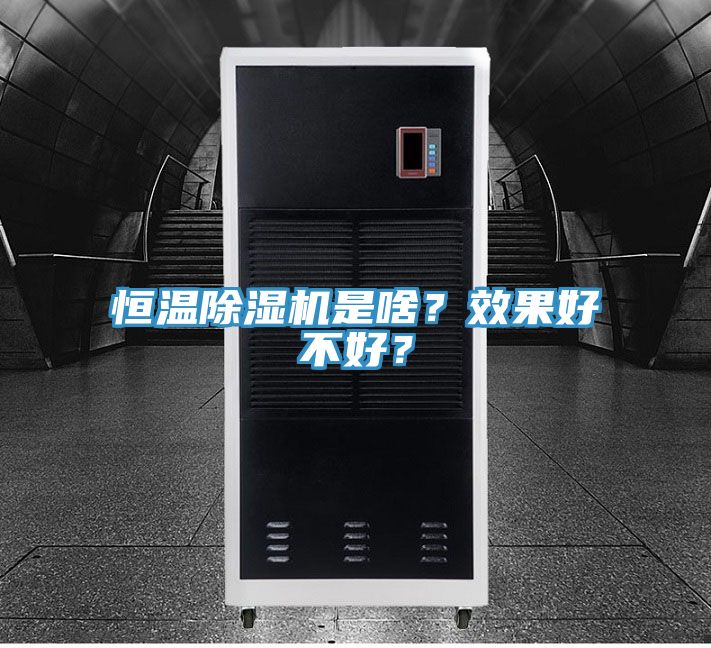 恒温除湿机是啥？效果好不好？