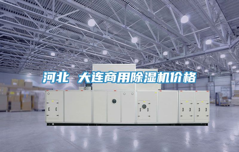 河北 大连商用除湿机价格