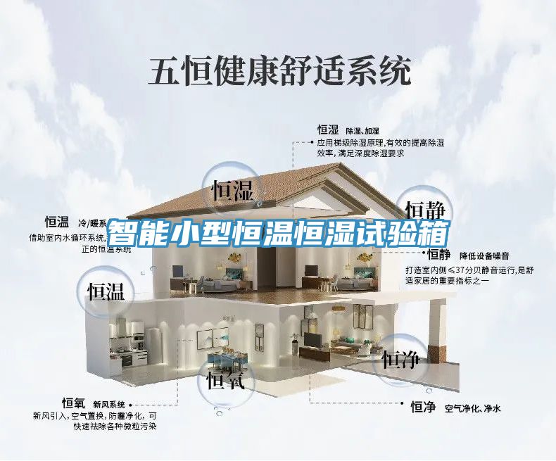 智能小型恒温恒湿试验箱