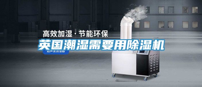 英国潮湿需要用除湿机