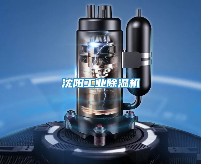 沈阳工业除湿机