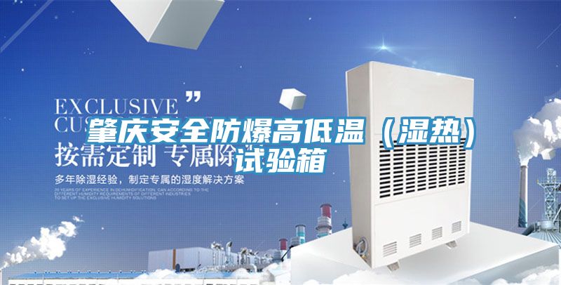 肇庆安全防爆高低温（湿热）试验箱