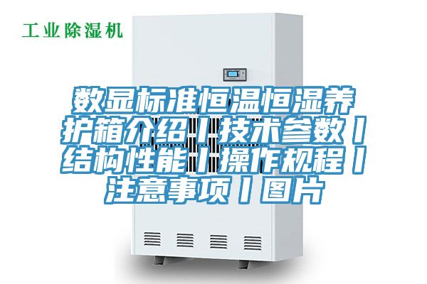 数显标准恒温恒湿养护箱介绍丨技术参数丨结构性能丨操作规程丨注意事项丨图片