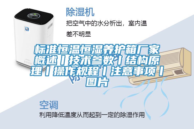 标准恒温恒湿养护箱厂家概述丨技术参数丨结构原理丨操作规程丨注意事项丨图片