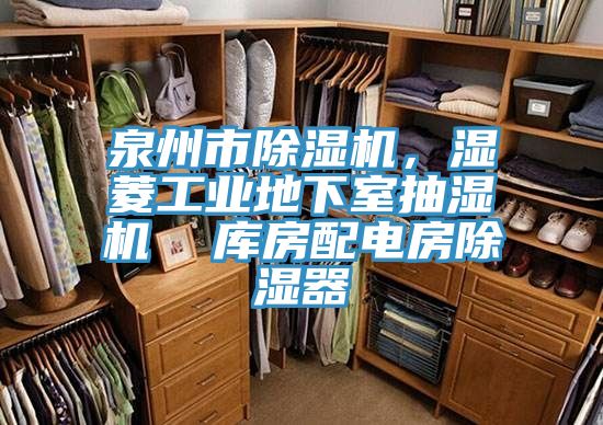 泉州市除湿机，湿菱工业地下室抽湿机  库房配电房除湿器