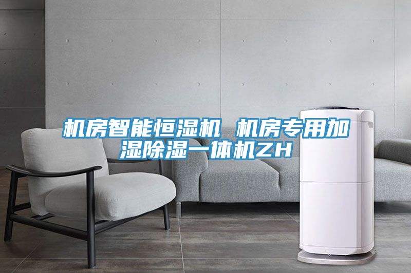 机房智能恒湿机 机房专用加湿除湿一体机ZH