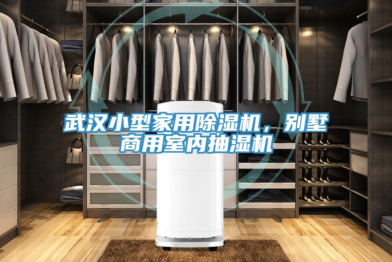武汉小型家用除湿机，别墅商用室内抽湿机