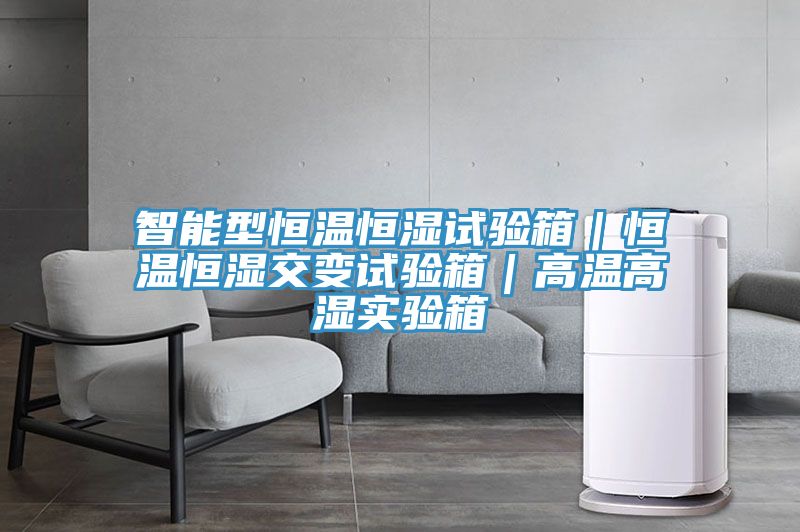 智能型恒温恒湿试验箱｜恒温恒湿交变试验箱｜高温高湿实验箱