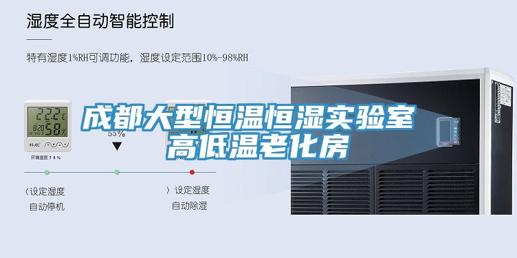 成都大型恒温恒湿实验室 高低温老化房