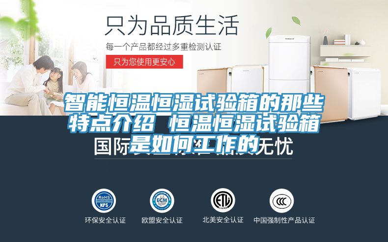 智能恒温恒湿试验箱的那些特点介绍 恒温恒湿试验箱是如何工作的