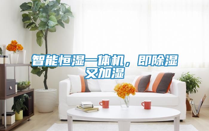 智能恒湿一体机，即除湿又加湿