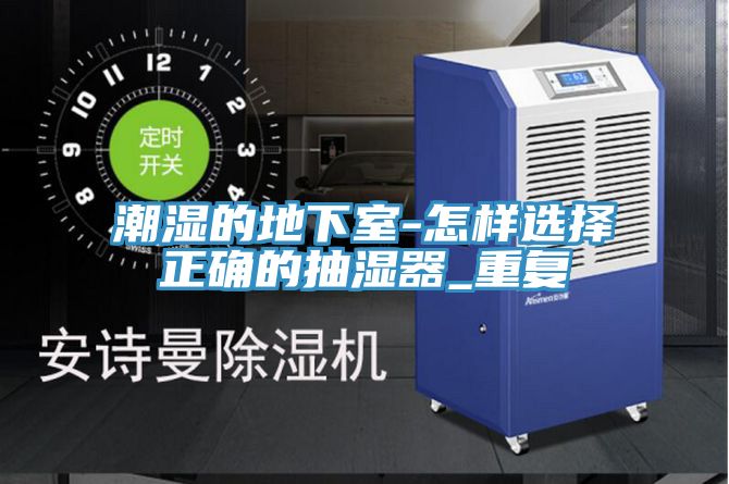 潮湿的地下室-怎样选择正确的抽湿器_重复
