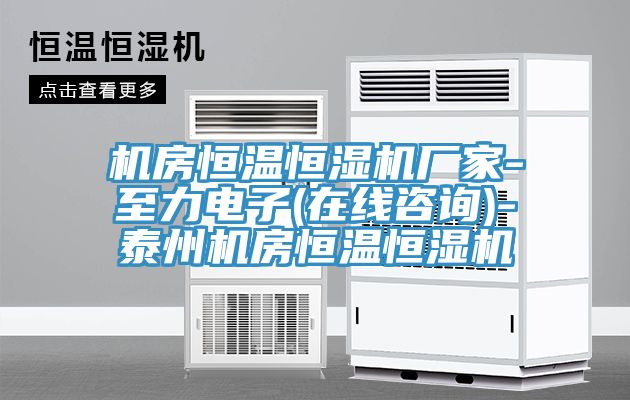 机房恒温恒湿机厂家-至力电子(在线咨询)-泰州机房恒温恒湿机