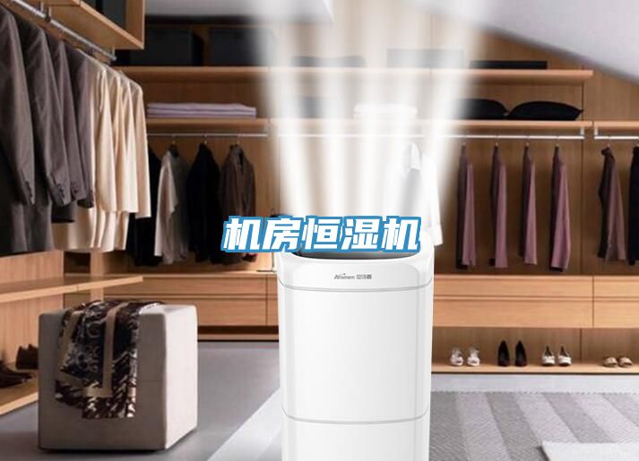 机房恒湿机