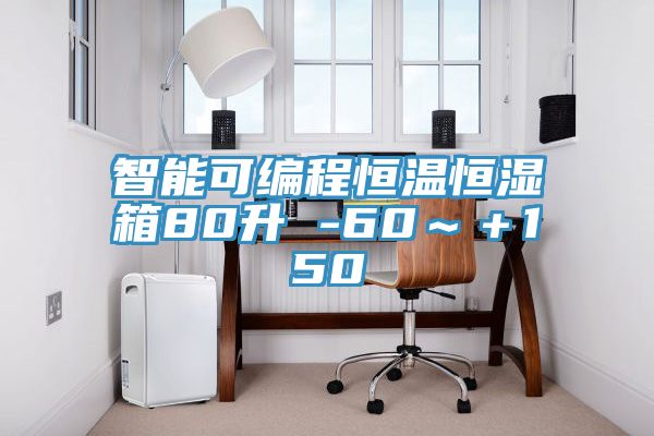 智能可编程恒温恒湿箱80升 -60～＋150℃