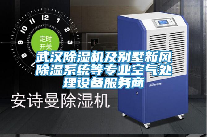 武汉除湿机及别墅新风除湿系统等专业空气处理设备服务商