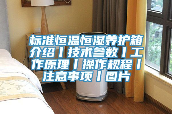 标准恒温恒湿养护箱介绍丨技术参数丨工作原理丨操作规程丨注意事项丨图片