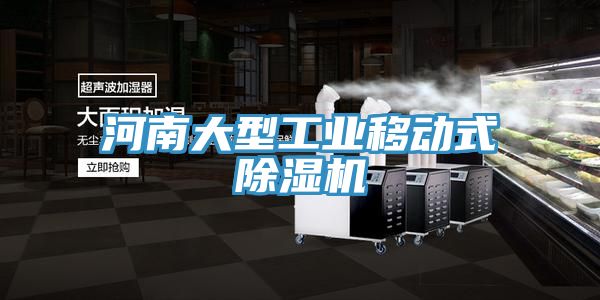 河南大型工业移动式除湿机