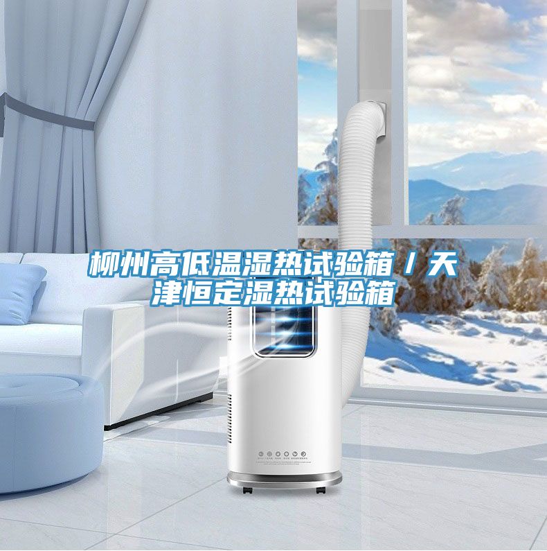 柳州高低温湿热试验箱／天津恒定湿热试验箱