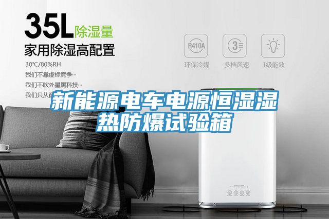 新能源电车电源恒湿湿热防爆试验箱