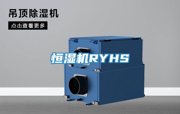 恒湿机RYHS