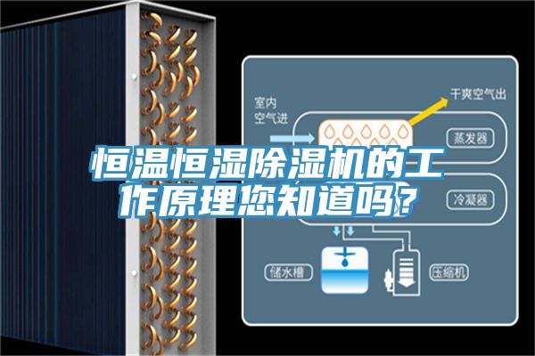 恒温恒湿除湿机的工作原理您知道吗？