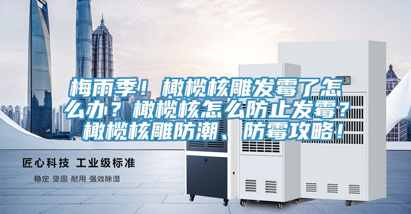 梅雨季！橄榄核雕发霉了怎么办？橄榄核怎么防止发霉？ 橄榄核雕防潮、防霉攻略！