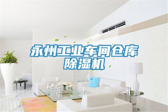 永州工业车间仓库除湿机