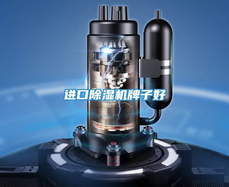 进口除湿机牌子好