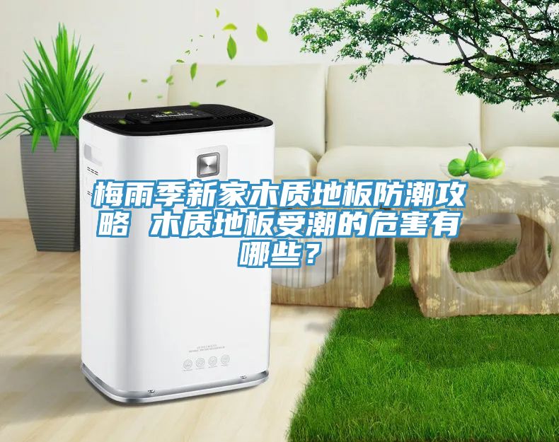 梅雨季新家木质地板防潮攻略 木质地板受潮的危害有哪些？