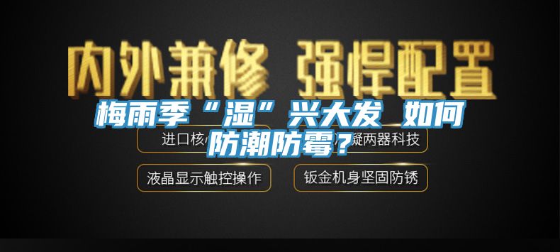 梅雨季“湿”兴大发 如何防潮防霉？