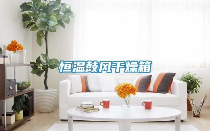 恒温鼓风干燥箱