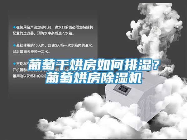 葡萄干烘房如何排湿？葡萄烘房除湿机