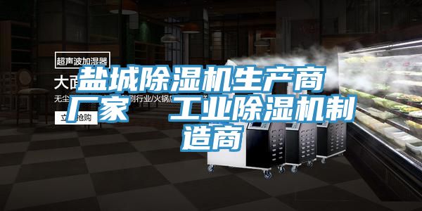 盐城除湿机生产商 厂家 工业除湿机制造商