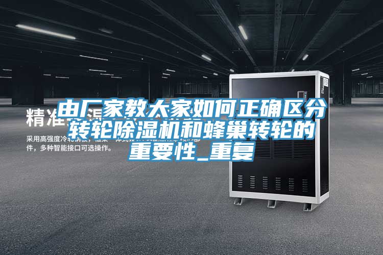 由厂家教大家如何正确区分转轮除湿机和蜂巢转轮的重要性_重复