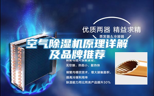 空气除湿机原理详解及品牌推荐