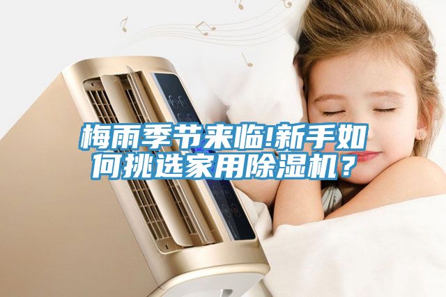 梅雨季节来临!新手如何挑选家用除湿机？