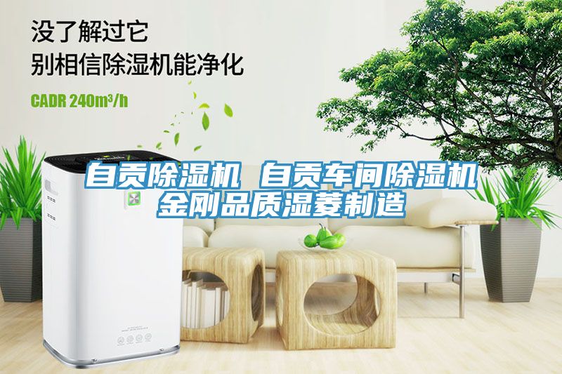 自贡除湿机 自贡车间除湿机金刚品质湿菱制造